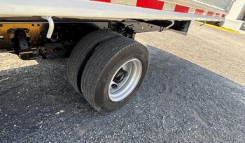 
										International | City Star 5 | 2019 | #058 full									