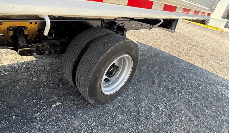 
								International | City Star 5 | 2019 | #058 full									