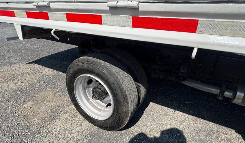 
								International | City Star 5 | 2019 | #058 full									