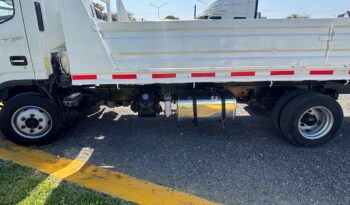 
										International | City Star 5 | 2019 | #058 full									