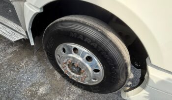 
										International | Prostar | 2018 | #81 full									