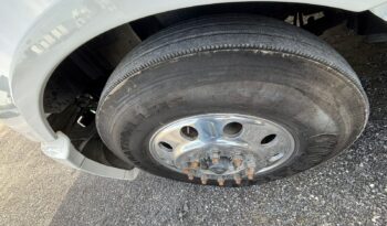 
										International | Prostar | 2018 | #81 full									