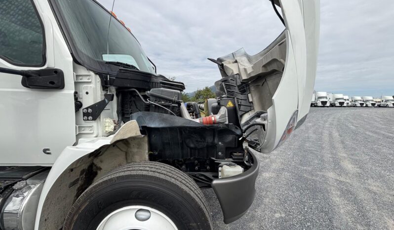 
								International | MV 35K Rabon | 2020 | #139 full									