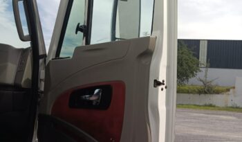 
										International | Prostar | 2018 | #81 full									