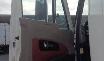 
										International | Prostar | 2018 | #81 full									