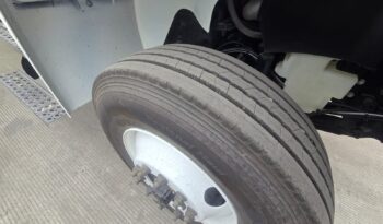 
										International | MV 35K Rabon | 2026 | #181 full									