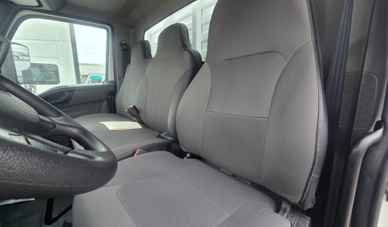 
								International | MV 35K Rabon | 2026 | #181 full									