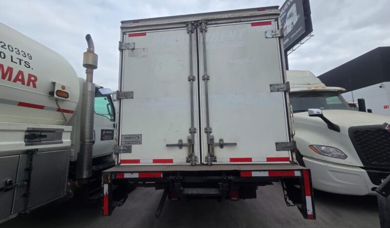 
								International | City Star 5 | 2020 | #116 full									