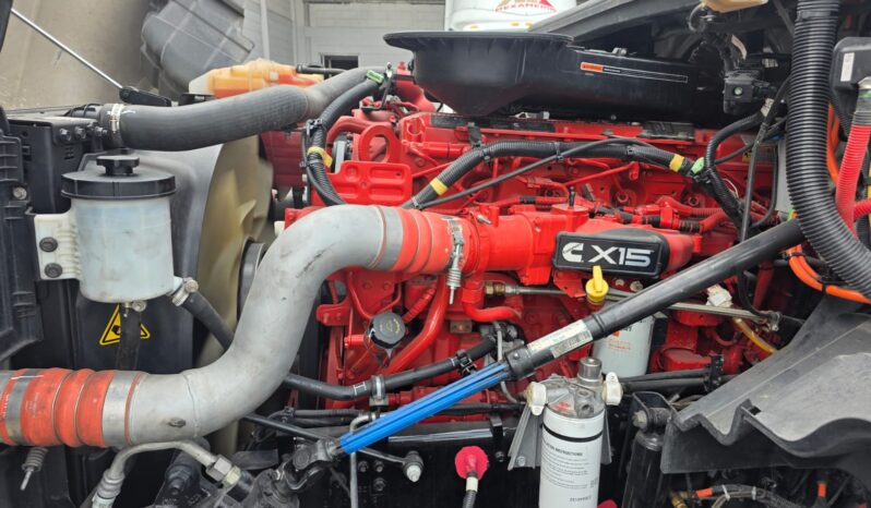 
								International | LT | 2023 | #168 full									