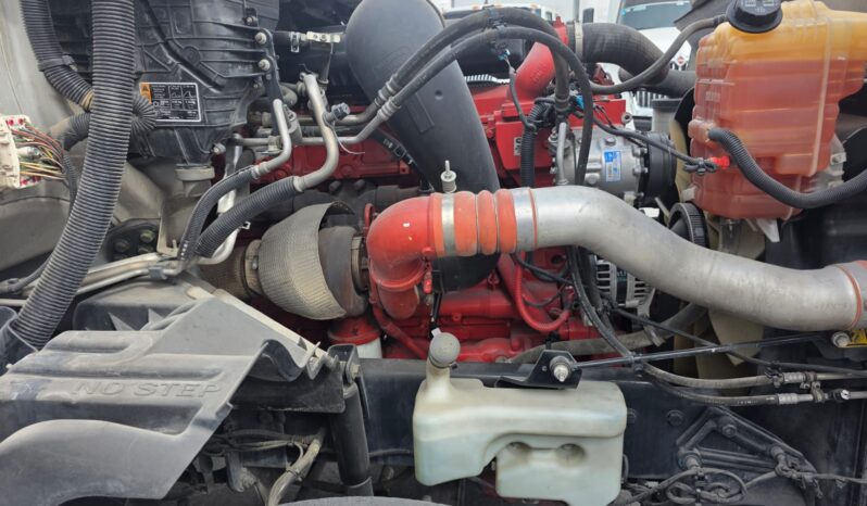 
								International | LT | 2023 | #171 full									