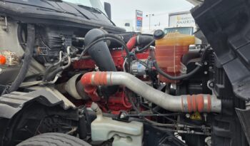 
										International | LT | 2023 | #171 full									