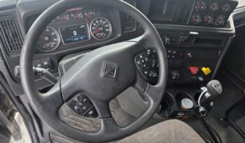 
										International | LT | 2023 | #171 full									