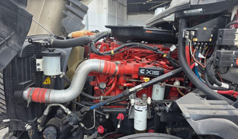 
								International | LT | 2023 | #171 full									