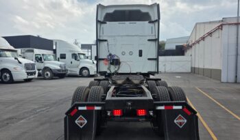 
										International | LT | 2023 | #167 full									