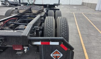 
										International | LT | 2023 | #167 full									