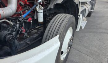 
										International | LT | 2023 | #167 full									