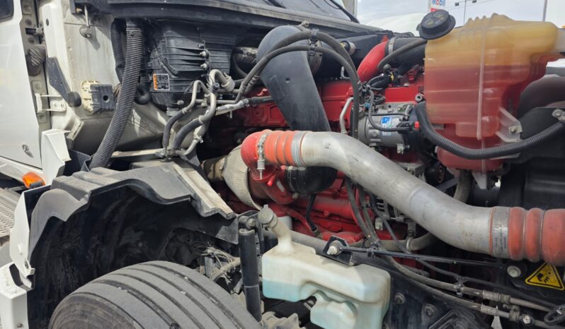 
								International | LT | 2023 | #167 full									