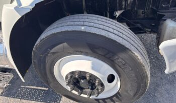 
										International | MV 4X2 Rabon | 2020 | #143 full									